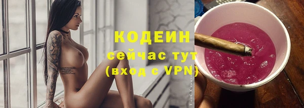 прущие грибы Абаза