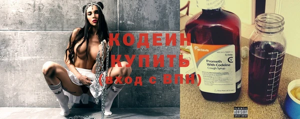 прущие грибы Абаза