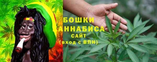 прущие грибы Абаза