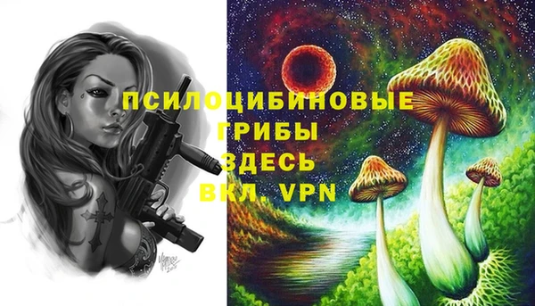 прущие грибы Абаза
