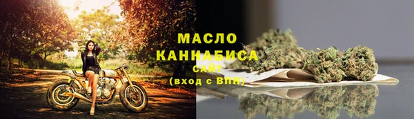 прущие грибы Абаза