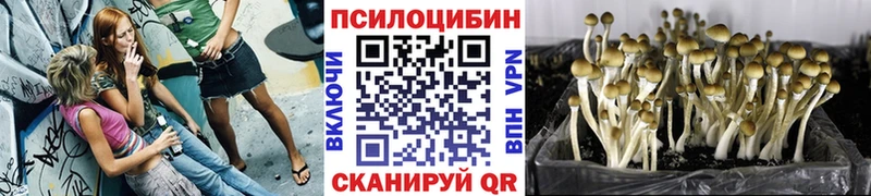 Псилоцибиновые грибы GOLDEN TEACHER  Партизанск 